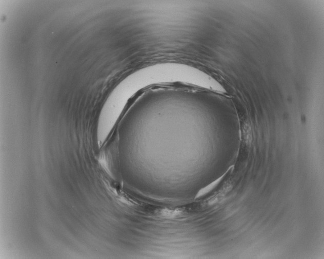 X0000070190570200606161554