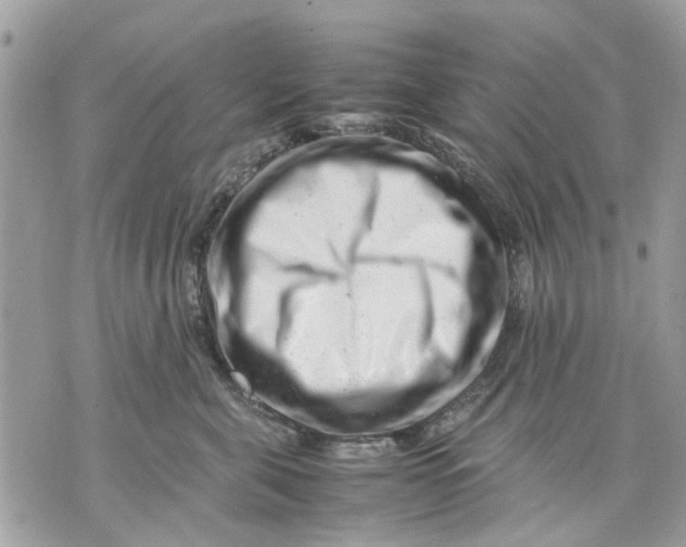 X0000070190571200606161554