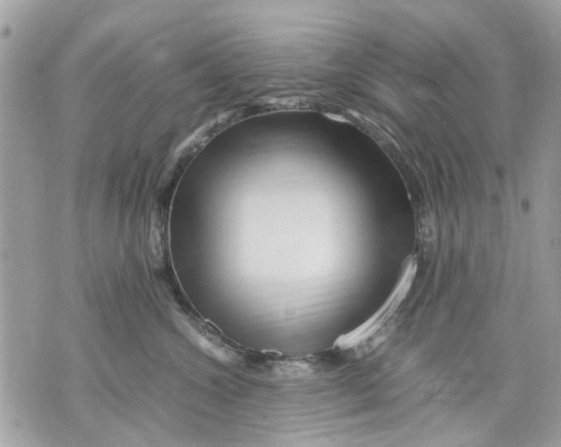 X0000070190572200606161554