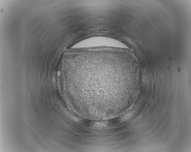 X0000070190573200606161554