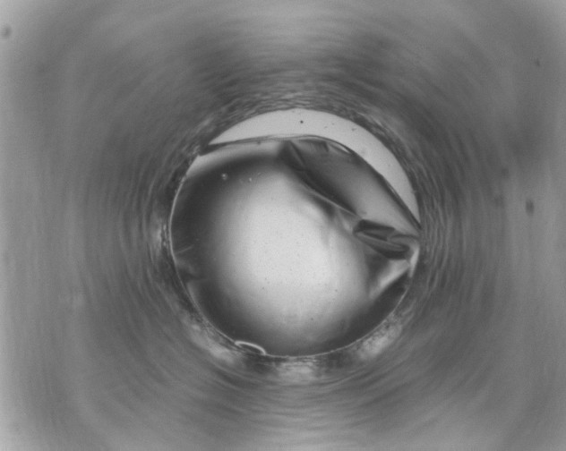 X0000070190574200606161554