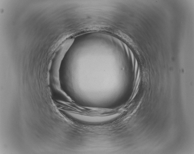 X0000070190577200606161553