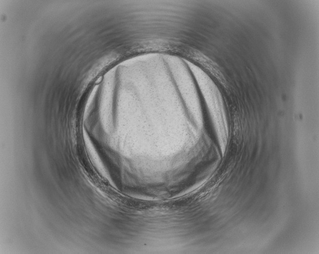 X0000070190578200606161553