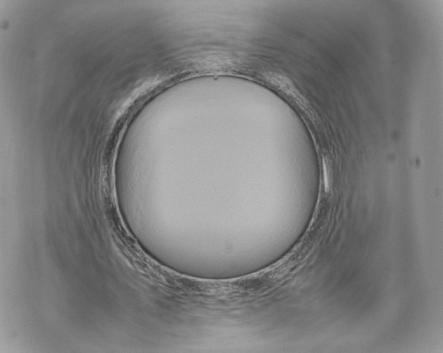 X0000070190579200606161553