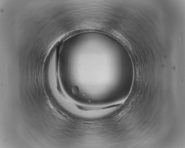 X0000070190580200606161553