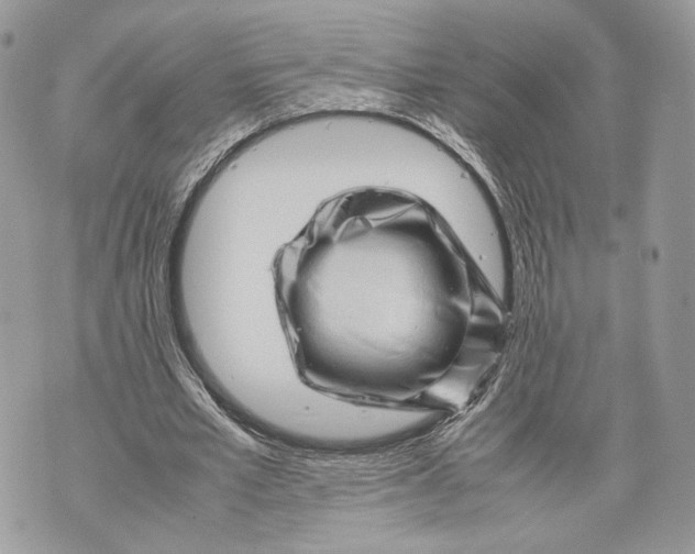 X0000070190581200606161553