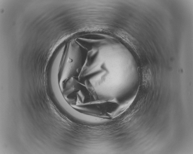 X0000070190584200606161553