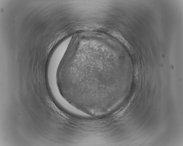 X0000070190585200606161553