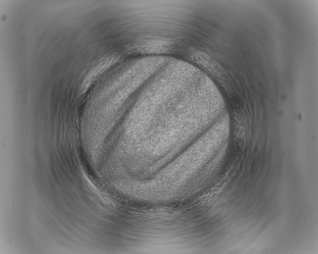 X0000070190586200606161553