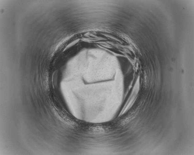 X0000070190588200606161553