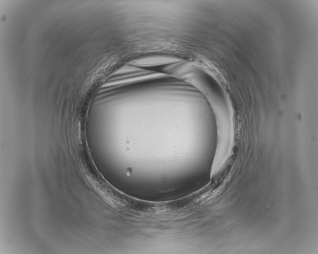 X0000070190589200606161553