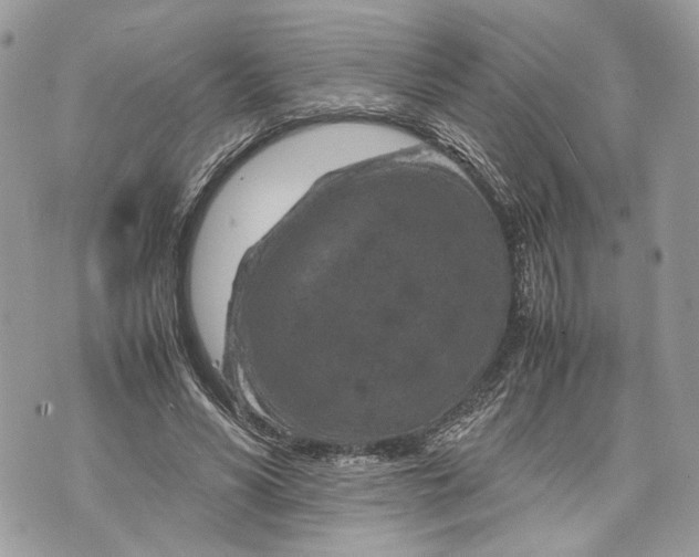 X0000070190590200606161553