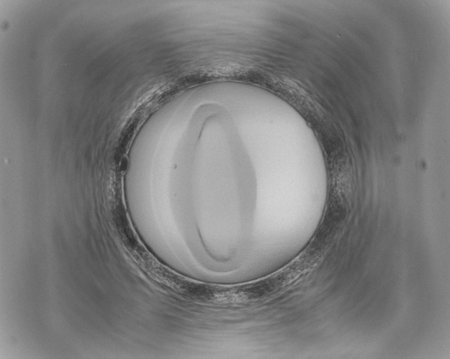 X0000070190591200606161553