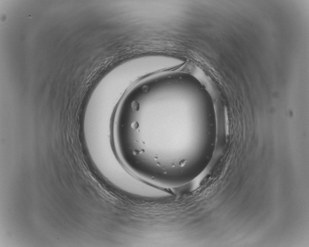 X0000070190593200606161553