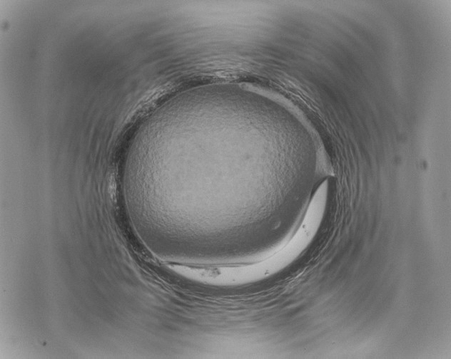 X0000070190595200606161553