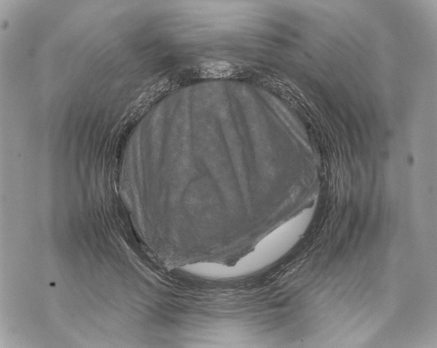 X0000070190598200606161553