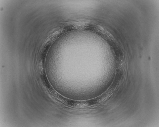 X0000070190599200606161553