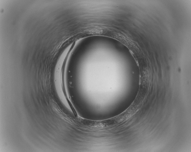 X0000070190600200606161553