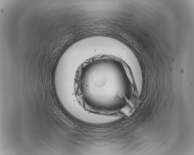 X0000070190601200606161553