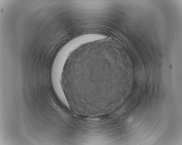 X0000070190602200606161553