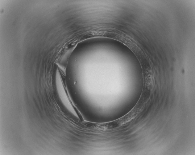 X0000070190604200606161553