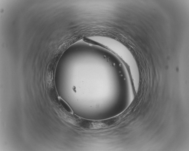 X0000070190605200606161553