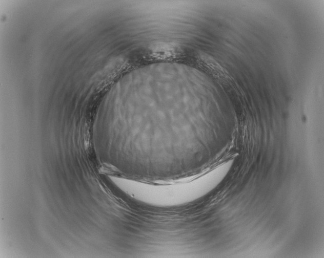 X0000070190606200606161553