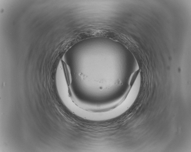 X0000070190607200606161553