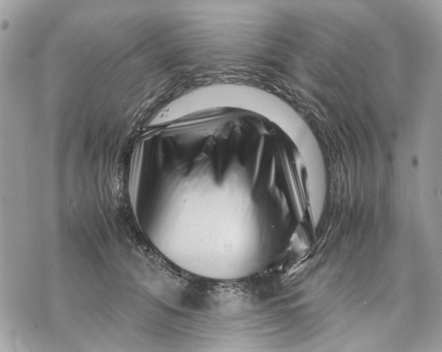 X0000070190608200606161553