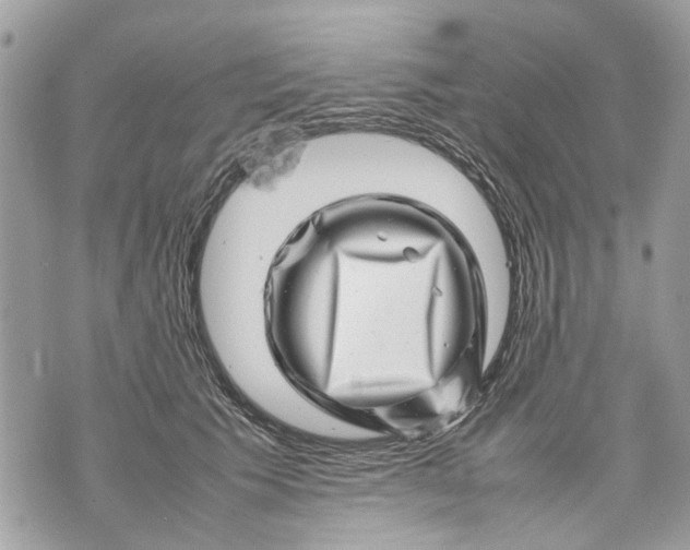 X0000070190609200606161553