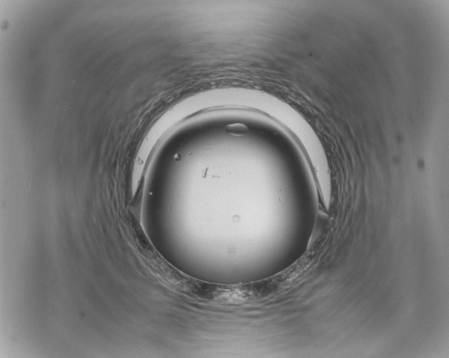 X0000070190611200606161552