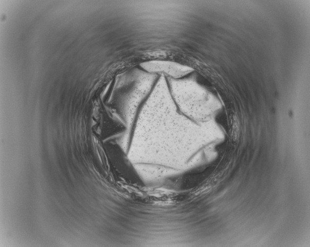 X0000070190612200606161552