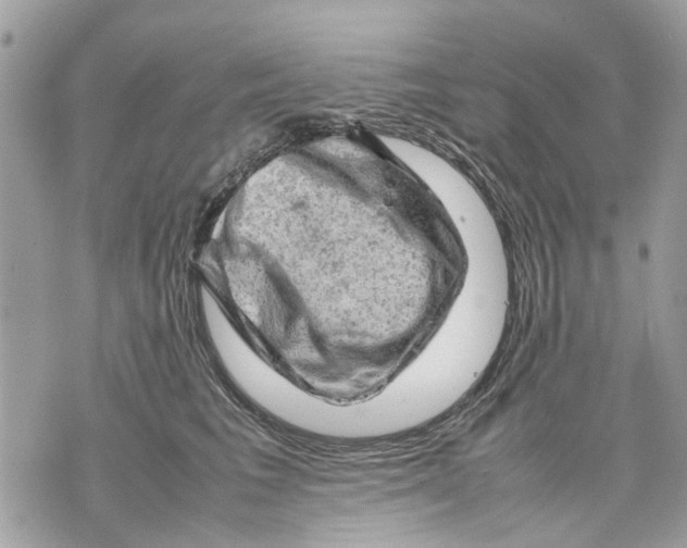 X0000070190613200606161552