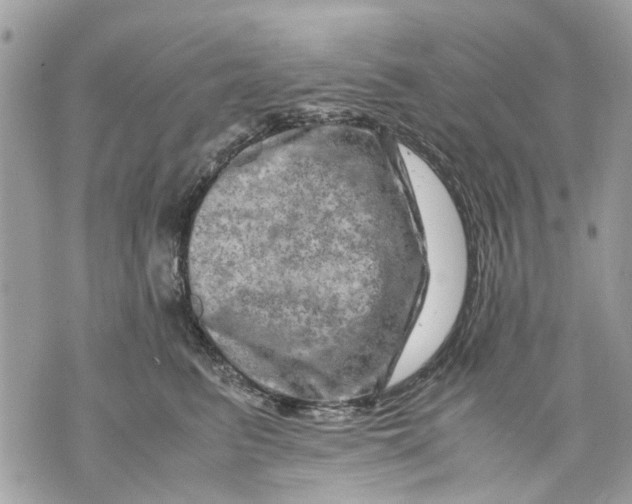 X0000070190615200606161552