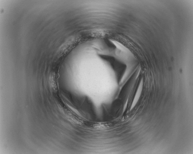 X0000070190616200606161552