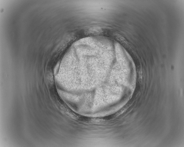 X0000070190617200606161552