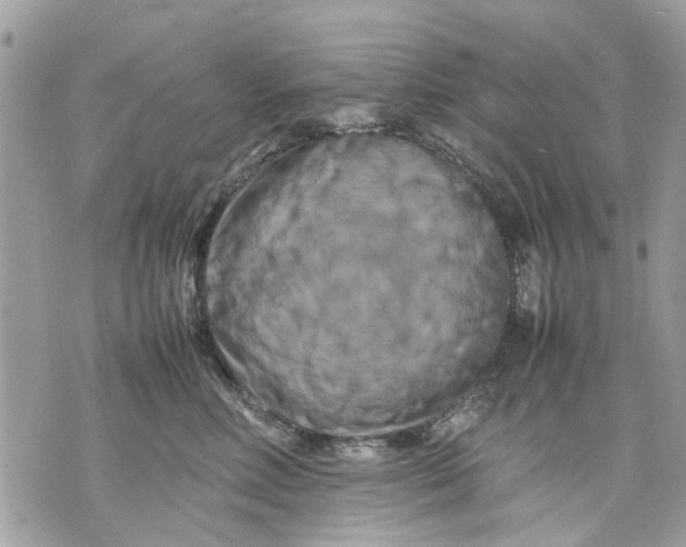 X0000070190618200606161552