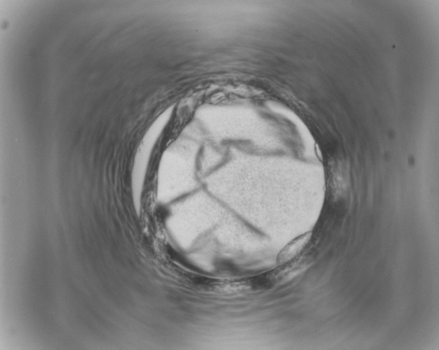 X0000070190619200606161552