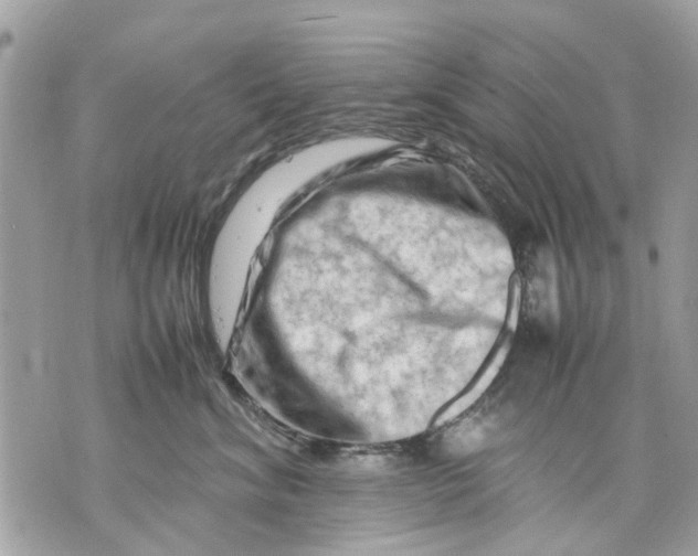 X0000070190620200606161552