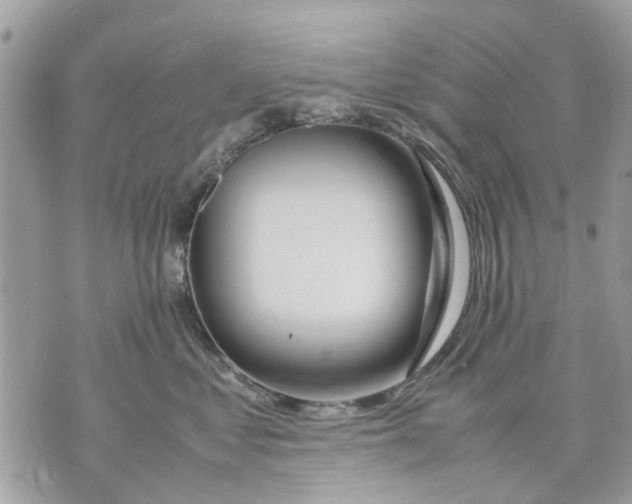 X0000070190621200606161552