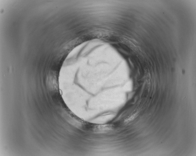 X0000070190622200606161552