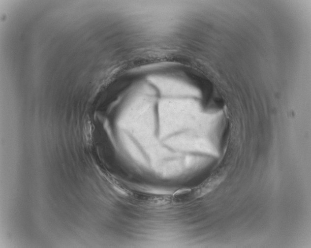 X0000070190624200606161552