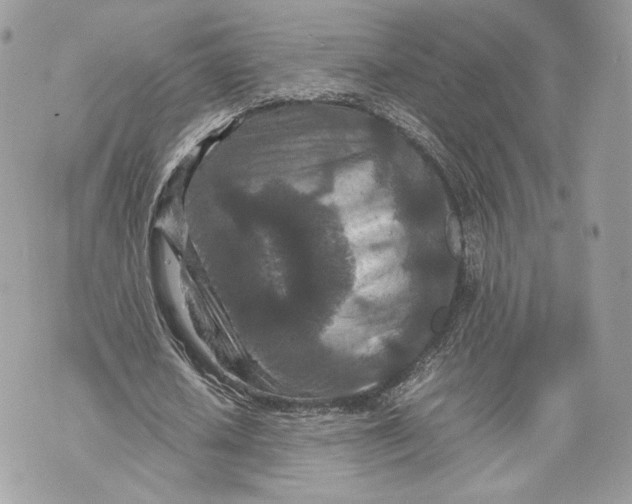 X0000070190626200606161552