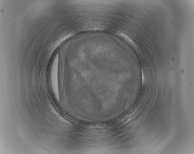 X0000070190627200606161552