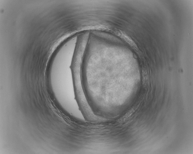 X0000070190628200606161552