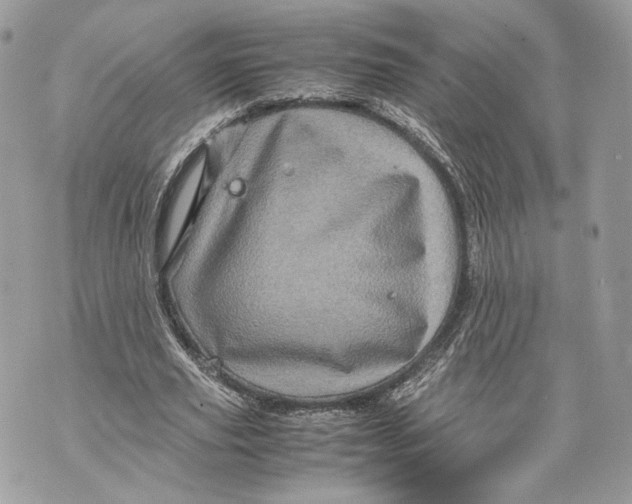 X0000070190629200606161552