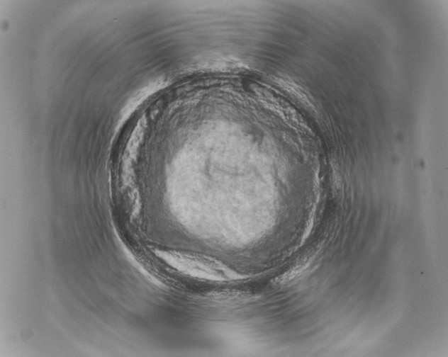 X0000070190630200606161552