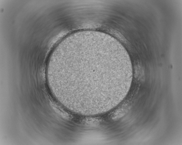 X0000070190632200606161552