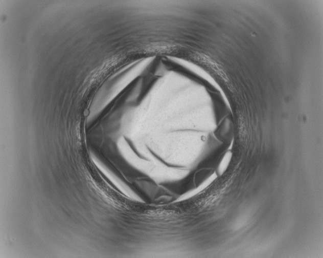 X0000070190633200606161552