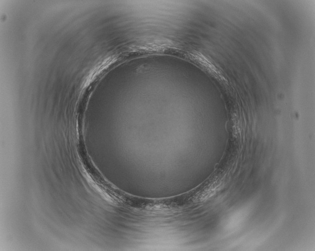 X0000070190634200606161552